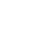 TikTok Icon